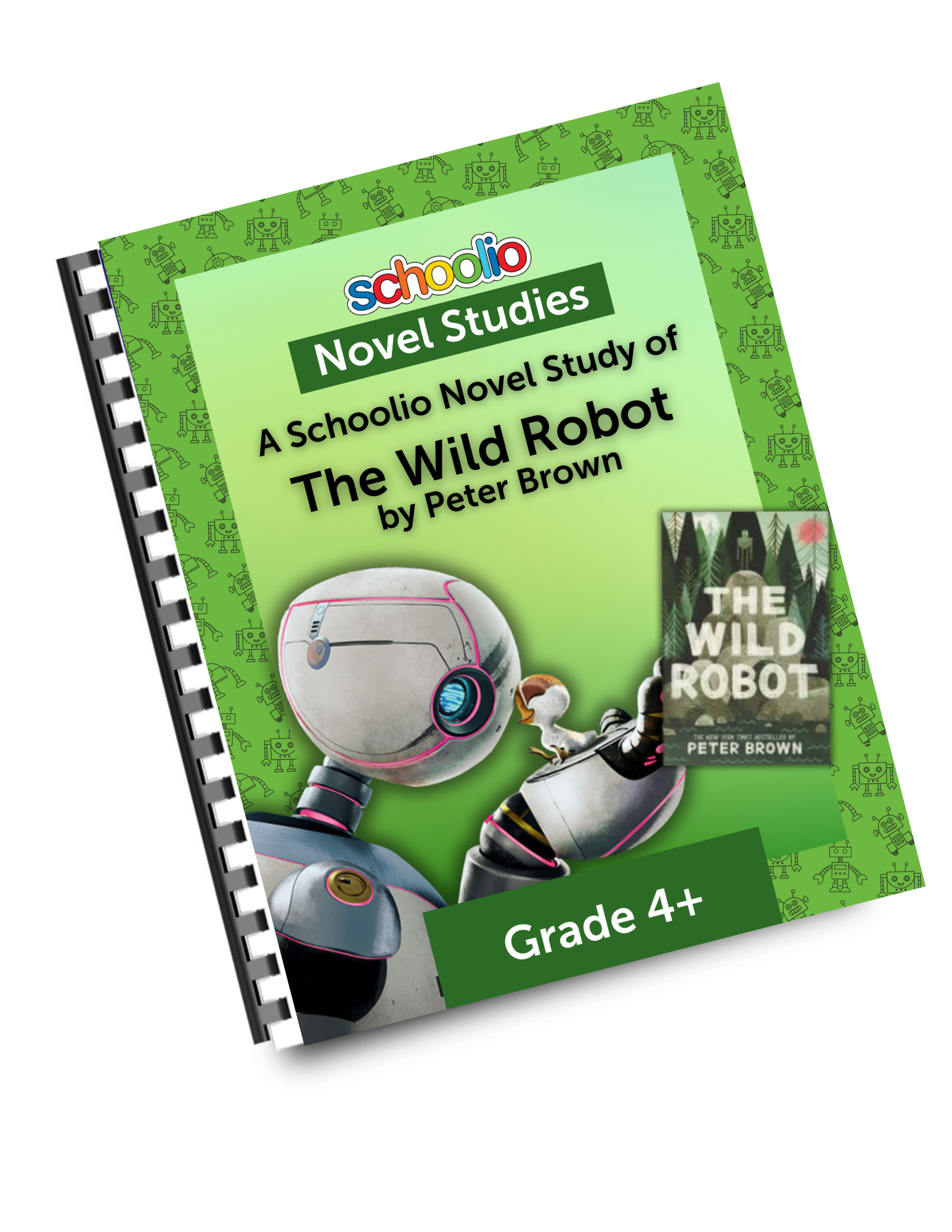 Investing and Borrowing