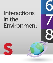 interactions in the environment