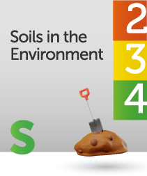 soils in the environment