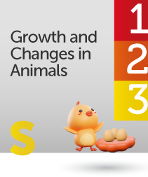 Growth and Changes in Animals
