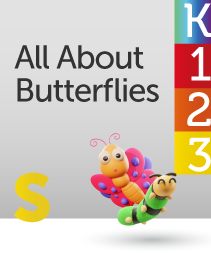All About Butterflies