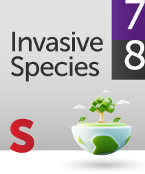 invasive species
