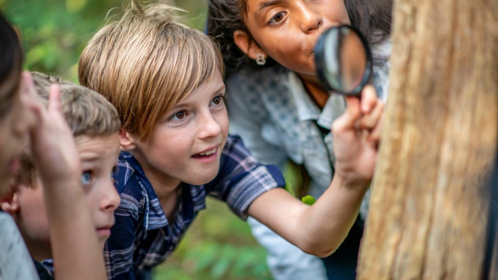 Finding the path that fits for your family 
