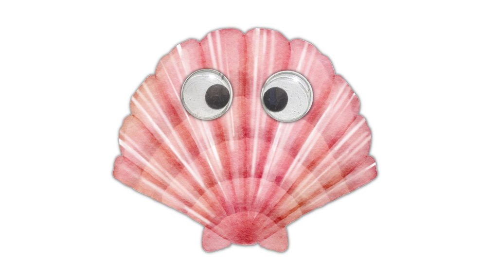 Seashell creatures 