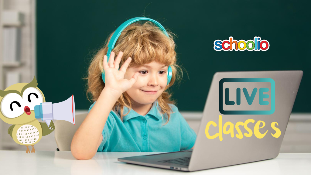 Schoolio live classes