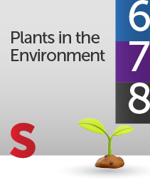 plants in the environment