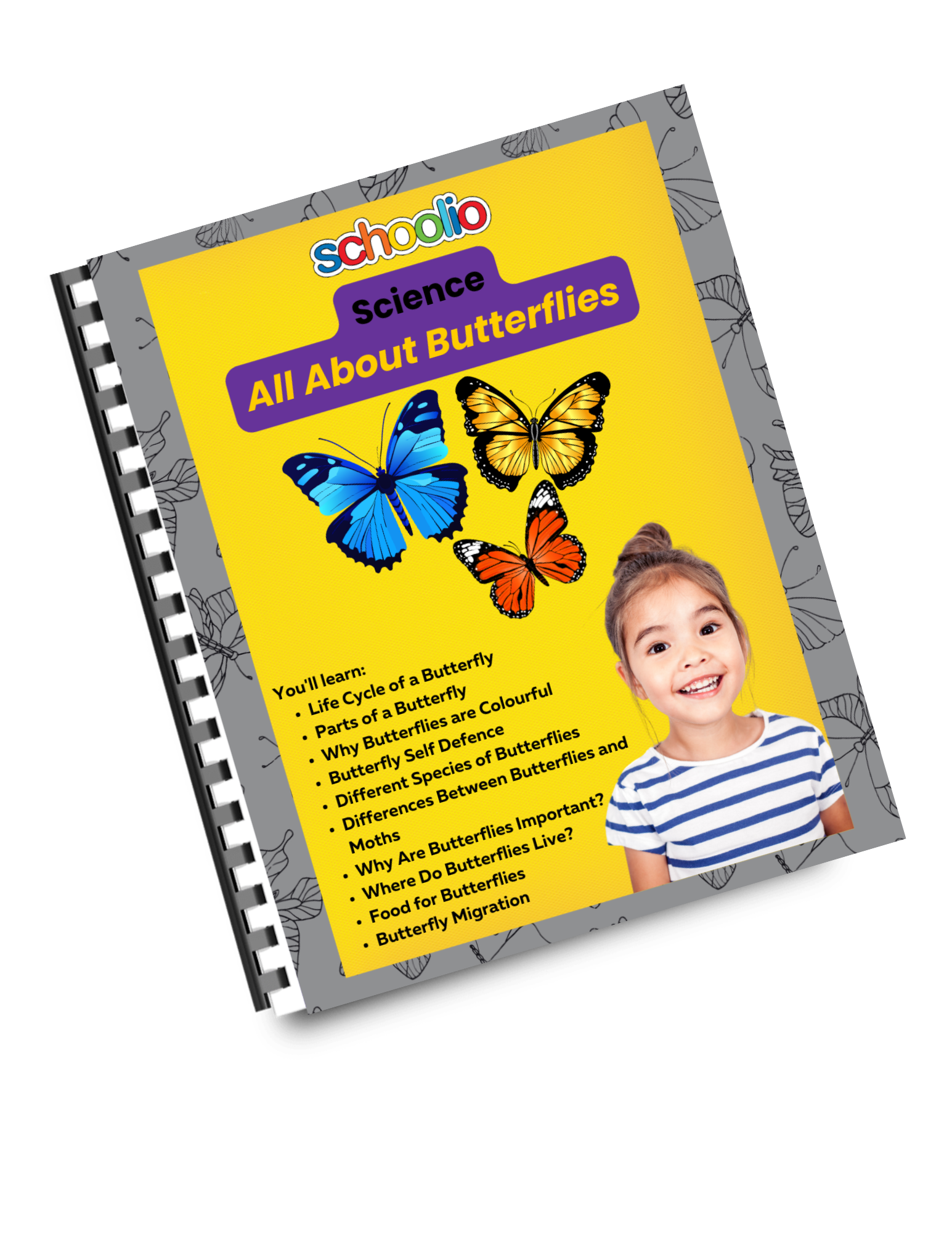 All About Butterflies