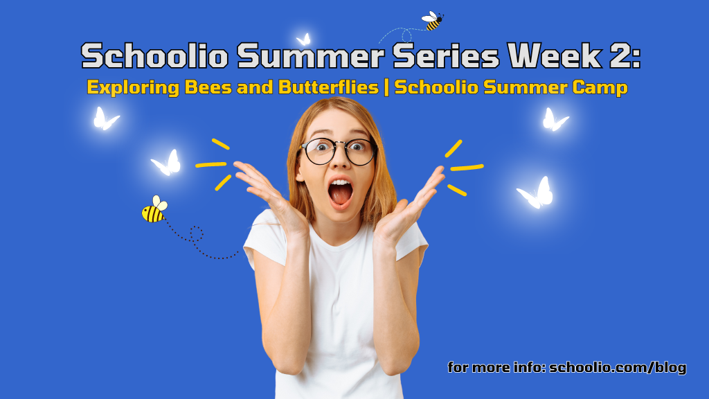 Schoolio Summer Series Week 2: Exploring Bees and Butterflies