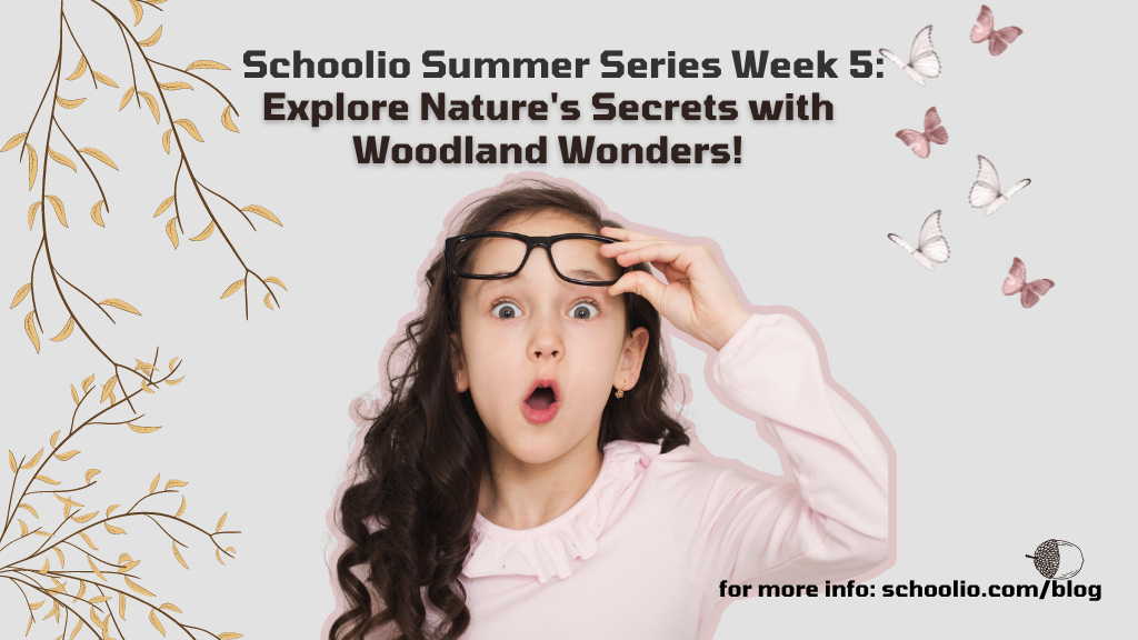 Schoolio Summer Series Week 5 : Woodland Wonders ?