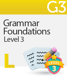Grammar Foundations Level 3
