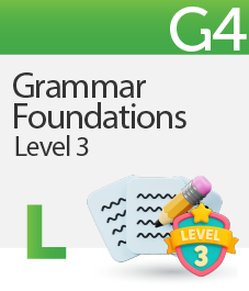 Grammar Foundations Level 3
