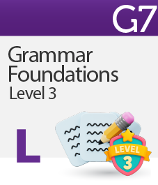 Grammar Foundations Level 3