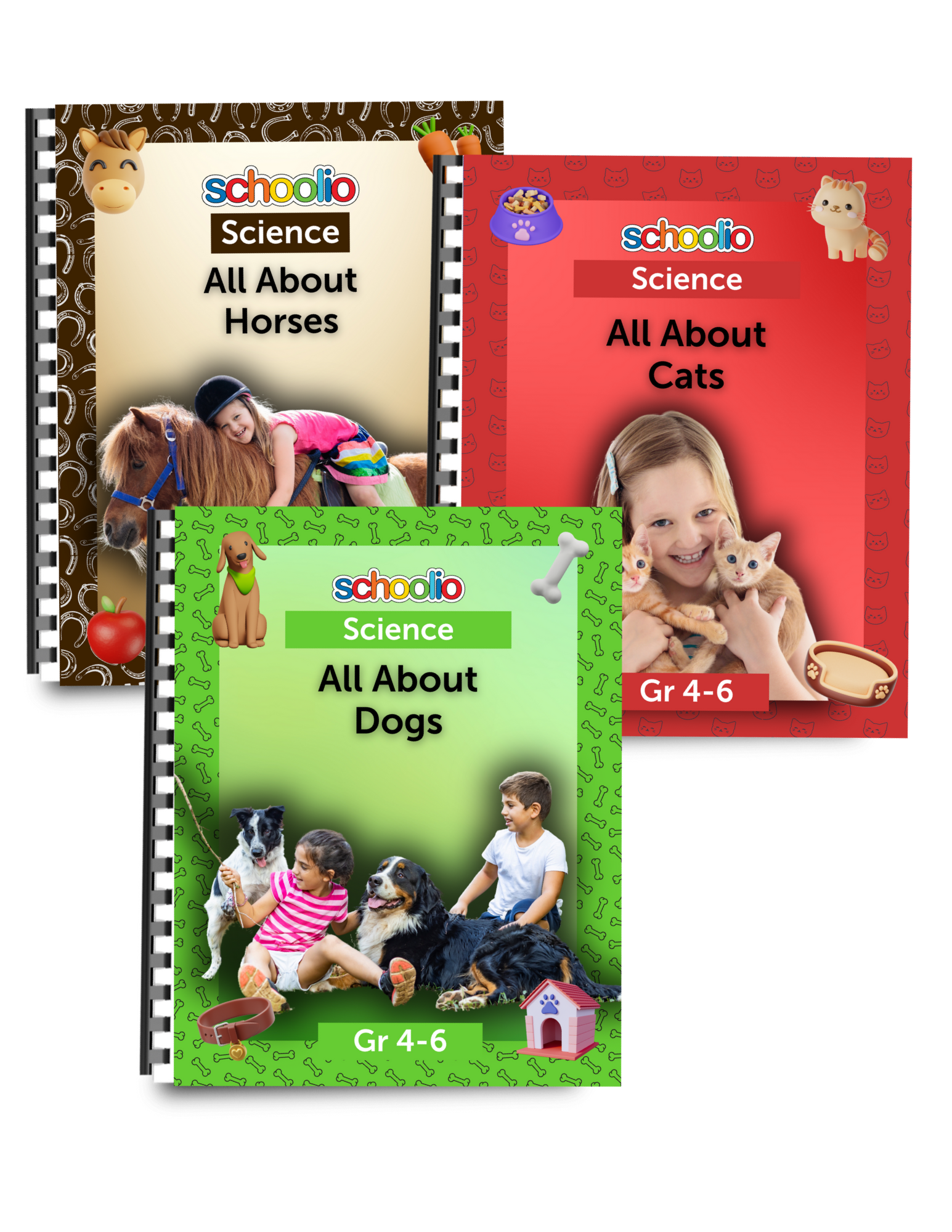 Shopping Online and Around the World