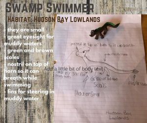 Swamp Swimmer