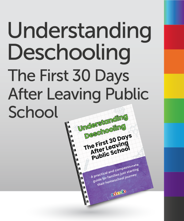 understanding deschooling guide book cover