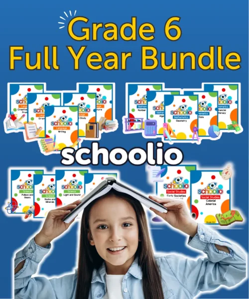 grade 6