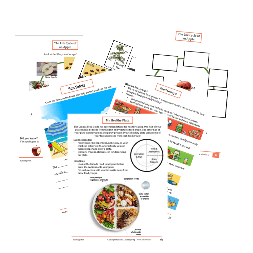 Health workbook page
