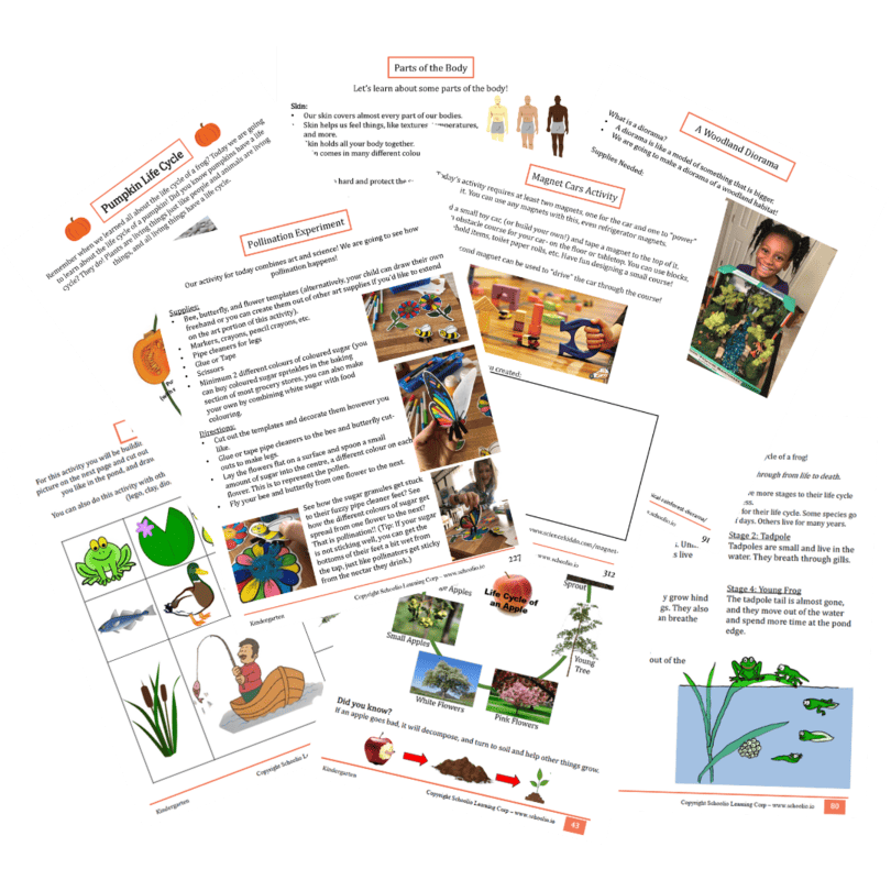 Science workbook page